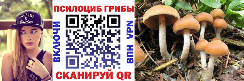 darknet Telegram  Верхнеуральск  Псилоцибиновые грибы GOLDEN TEACHER 